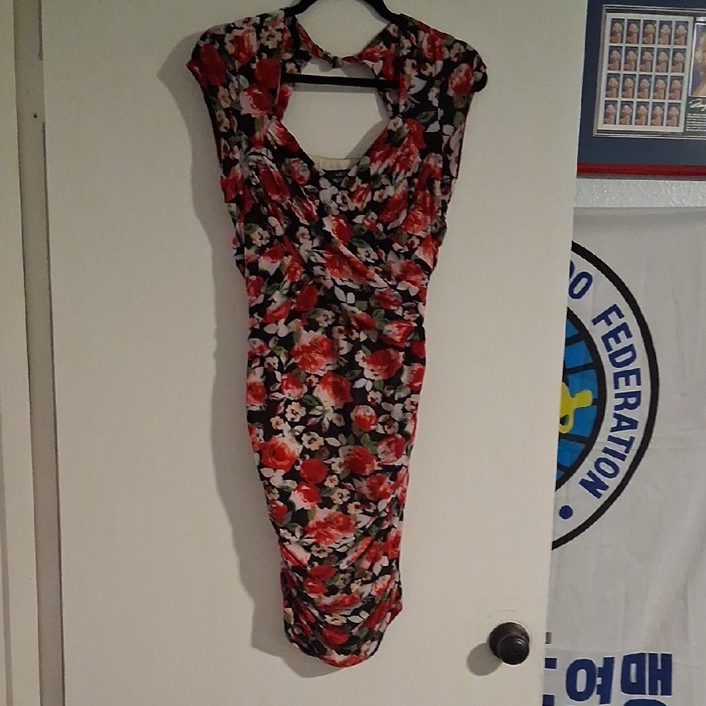 Ark & Co Red and Black Floral Mini Dress